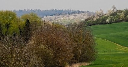 když jaro nastartuje