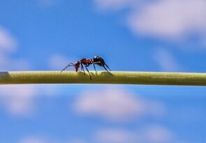 bolo nás jedenásť