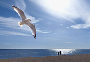 sloboda nekonečno splynutie