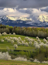 tribute to Stano Stratený..