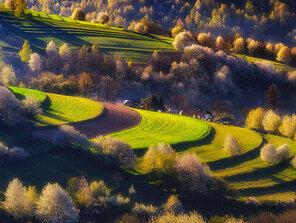 Hriňovské lazy III