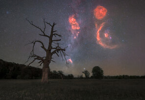Orion