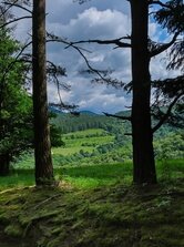 Medzi dvomi