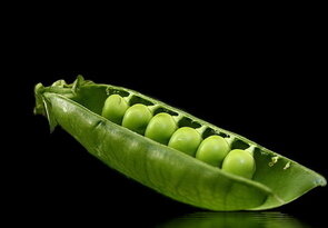 Hrach