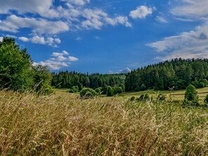 krajinka