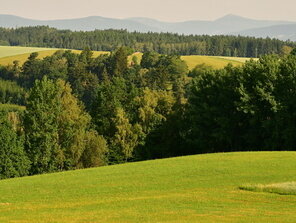 Ranní krajinka