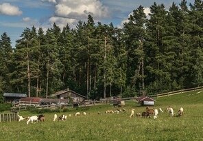Salaš na Ďurkovci