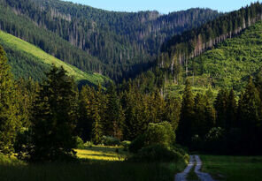 do vrchov