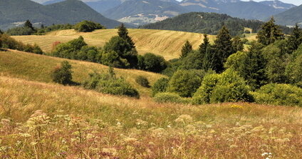 Letná krajinka