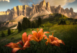 Dolomity