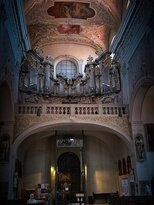 Organ