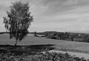 Solitér ve stínu