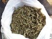 (whatsapp:+1 (318) 751-1624) BUY WEED,KUSH,SHROOMS ONLINE USA