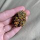 (Whatsapp: +44 7564 731281)Buy WEED,KUSH and SHROOMS UK