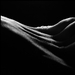 human abstract