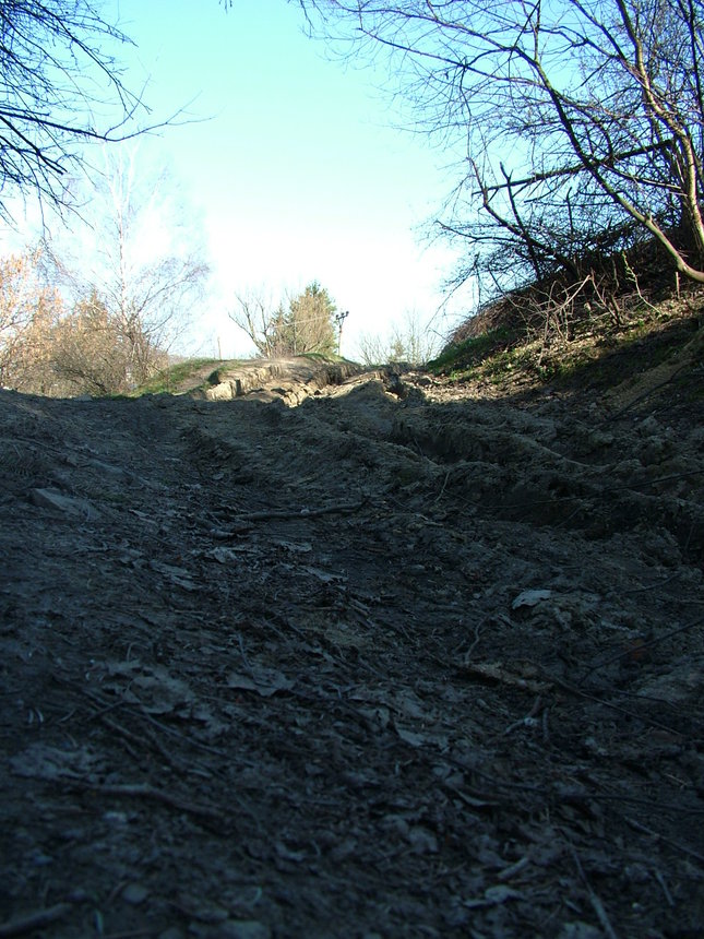 cesta