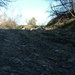 cesta