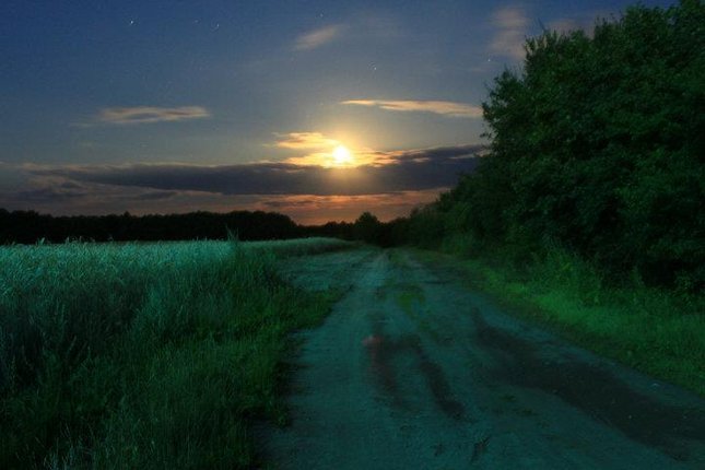 Koňec šveta dze v Nemecku lišky dobru noc davaju do stanu
