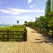 Miami Beach 46th Street