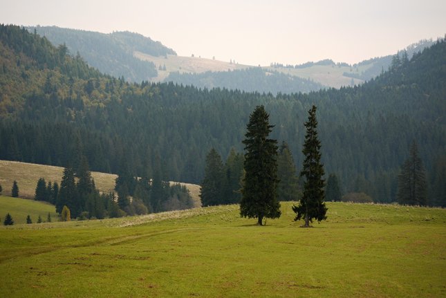 dvaja