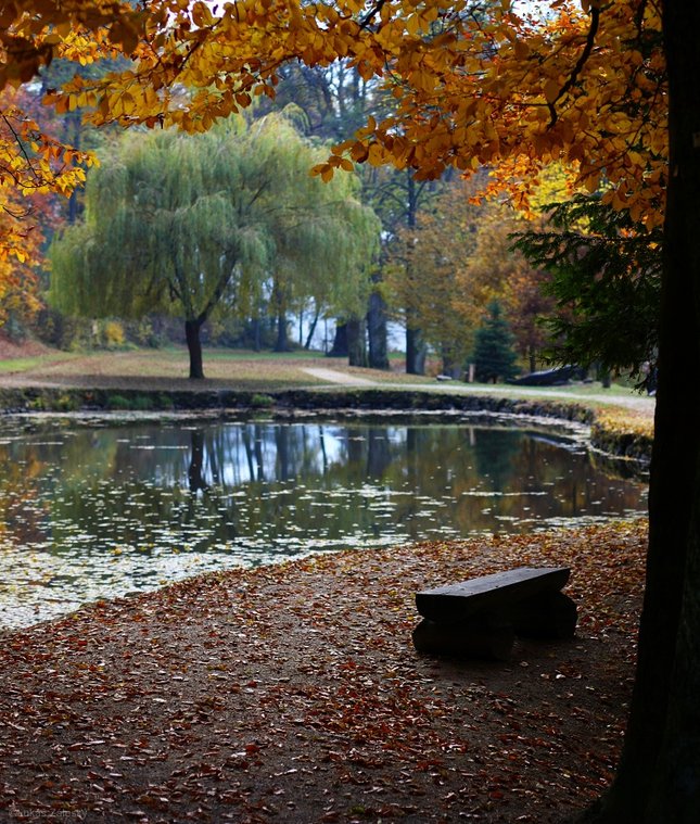 Miesto pokoja