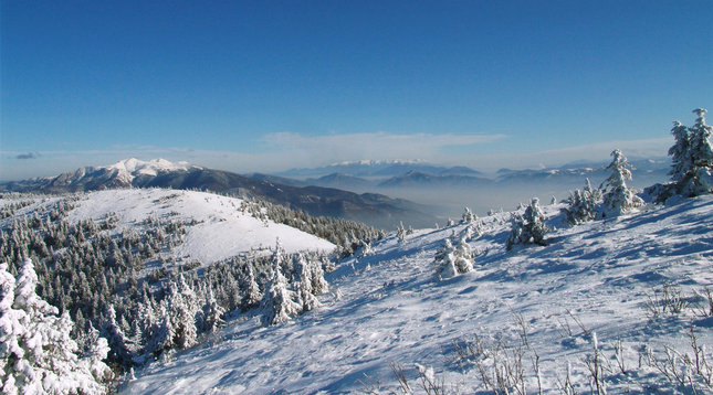 zimna panorama