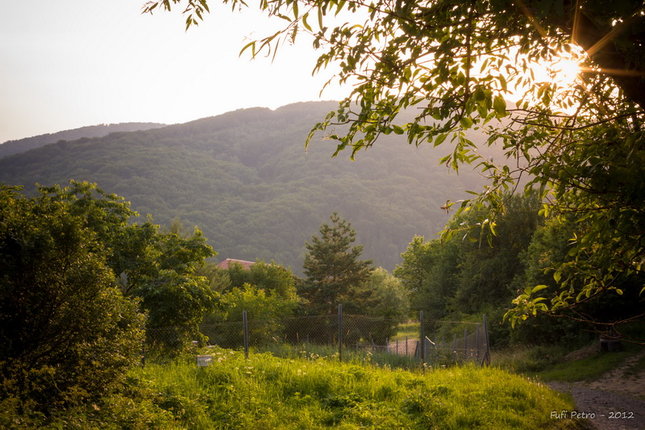 Hradisko