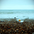 rubber duck dream