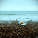 rubber duck dream