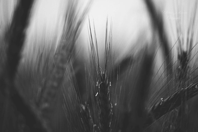 z nezaujimavého urobit zaujímave