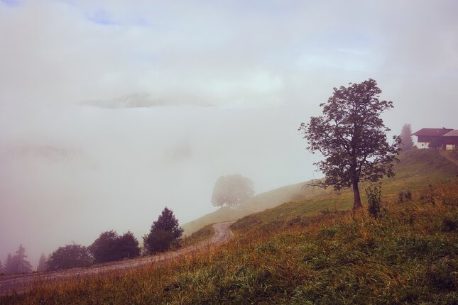KITZBÜHELER ALPEN