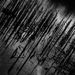 diagonalis