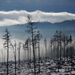 Tatry v hmle