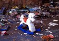 Abandoned rocking horse