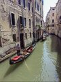 Venice 2022
