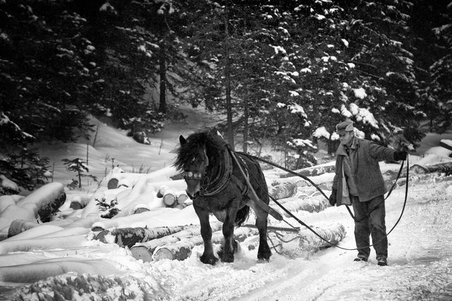 Deň čo deň, každý deň