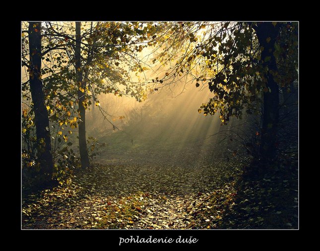 pohladenie duše