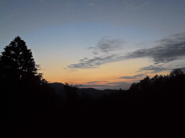 Nebo nad Bukovinou, Vôňa lesa, Bukovinské ráno