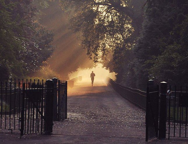 Morning run