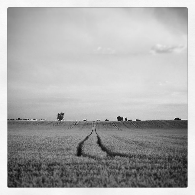 Pole   -   HTC Desire 500 + Instagram