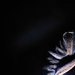 In the dark