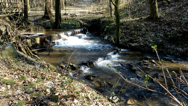 Bratislavské lesy - potok