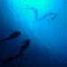 freedivers