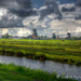 Countryside