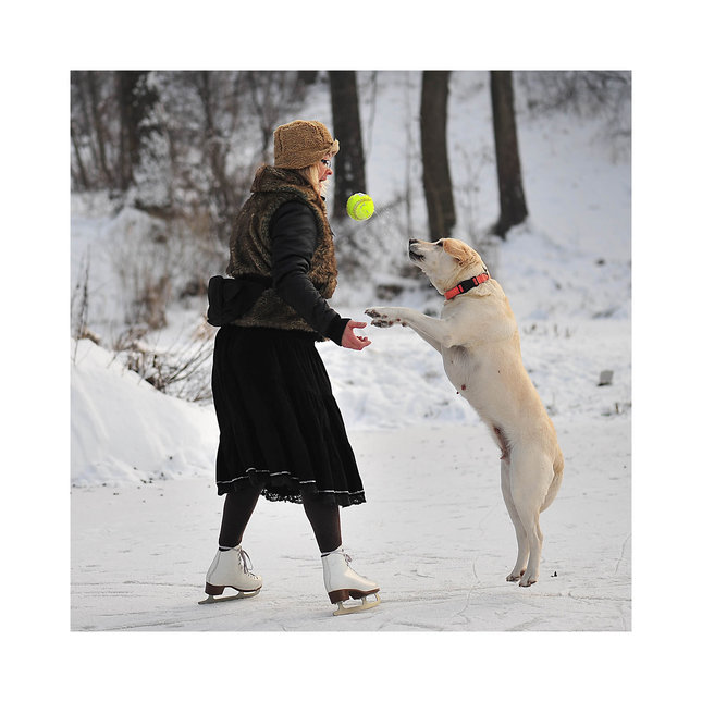 na rybníku "pod rybou" IV