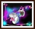 Orchidea
