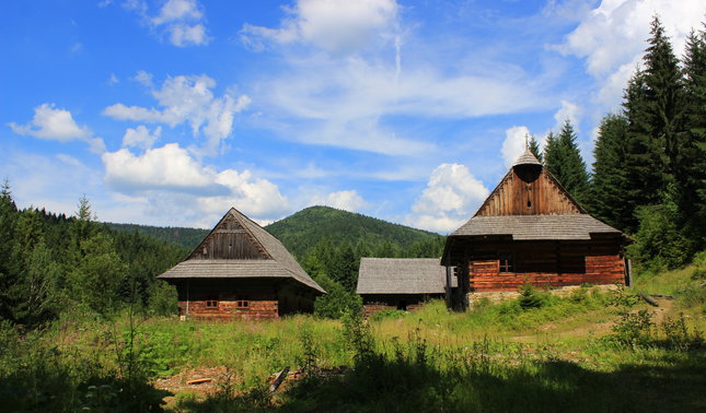 Dreveničky