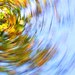 colour spin