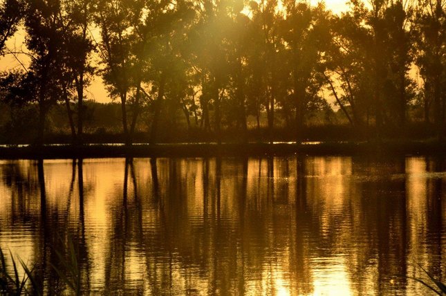 Lake