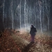 Life's Path II